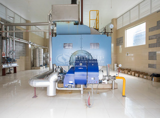 运行在李记酱菜的永乐高WNS燃气炉