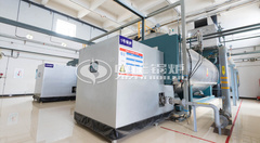 国药一心运行的永乐高WNS系列冷凝式燃气锅炉