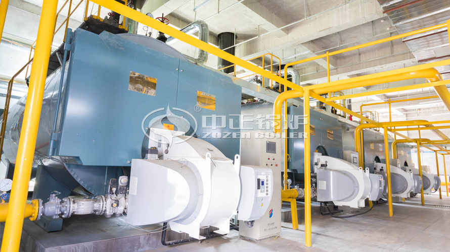 运行于枫叶小镇的永乐高WNS系列供暖锅炉