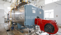 8吨WNS系列冷凝式燃气蒸汽锅炉项目（绝味食品）