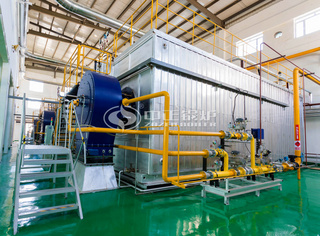 运行于飞鹤乳业永乐高冷凝式燃气锅炉