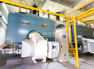 永乐高WNS系列节能环保型热水锅炉