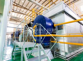 永乐高SZS系列节能燃气蒸汽锅炉