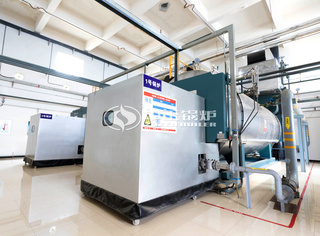 制药行业10吨永乐高燃气锅炉