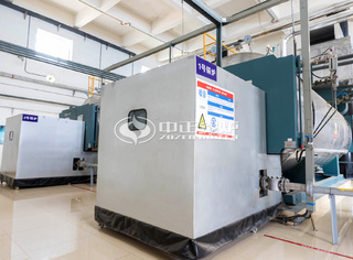 运行于医药行业的永乐高10吨燃气蒸汽锅炉