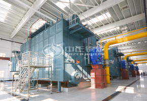 29MW SZS系列燃气热水锅炉项目（天津师范大学）
