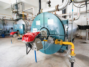 200万大卡YQW系列燃气卧式导热油锅炉项目（三易食物）