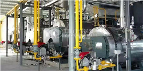 智能时代大有可为 永乐高冷凝式燃气锅炉系统为上海鲜花港保驾护航