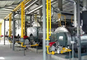 2.8MW WNS系列冷凝式燃气热水锅炉项目（上海鲜花港）