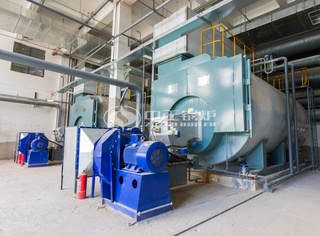 永乐高高效低排工业自然气锅炉