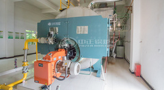 运行于豆制品行业永乐高WNS系列自然气低氮锅炉