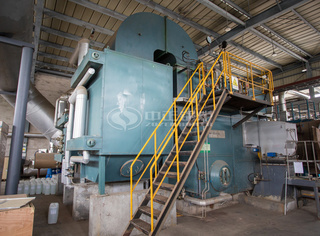 30吨永乐高锅炉燃气低氮锅炉