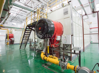 化工行业永乐高低氮蒸汽锅炉