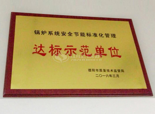 永乐高锅炉助力维达纸业提质升级