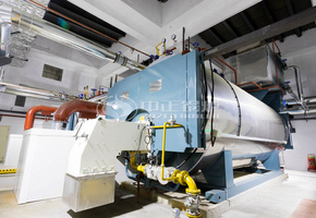 10.5MW WNS系列冷凝式燃气热水锅炉项目（威立雅热电）
