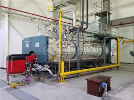 农夫山泉果业10吨WNS系列天然气蒸汽锅炉项目