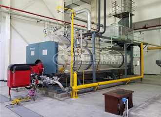 农民山泉果业10吨WNS系列自然气蒸汽锅炉项目