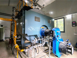 宜兴氿洲开元名都大旅馆4吨WNS系列燃气锅炉项目