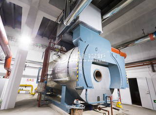 永乐高锅炉出品低氮燃气锅炉