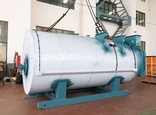 永乐高WNS系利冷凝锅炉