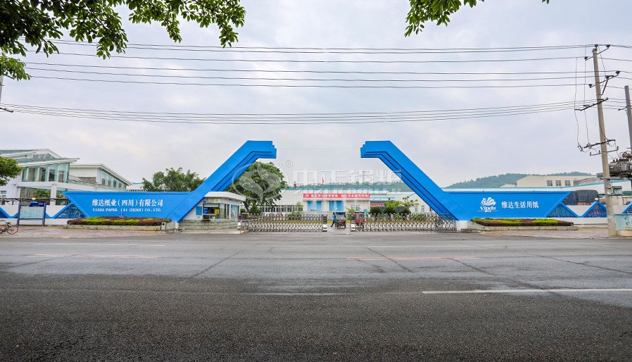 运行于维达纸业的永乐高锅炉三回程低氮燃气锅炉