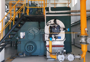 河北安国现代中药工业园40吨SZS系列低氮燃气蒸汽锅炉项目