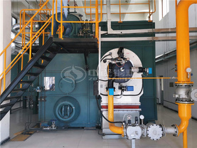 河北安国现代中药工业园40吨SZS系列低氮燃气蒸汽锅炉项目