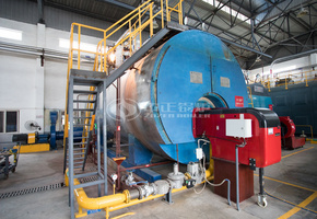 15吨WNS系列冷凝式燃气蒸汽锅炉项目（维达纸业）