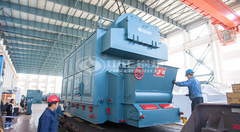 出口往菲律宾的永乐高DZL系列单锅筒链条炉