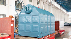 出口往菲律宾的永乐高SZL系列蒸汽链条炉