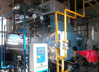 利比玻璃WNS系列冷凝式燃气蒸汽锅炉项目