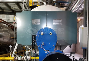 五洲丰农业10吨WNS系列冷凝式天然气蒸汽锅炉项目