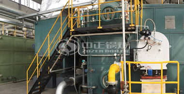 金光纸业20吨SZS系列蒸汽锅炉煤改气项目