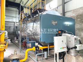 宏大纺织印染10吨WNS系列节能型燃气蒸汽锅炉