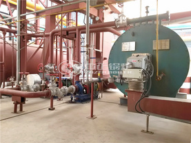 戴瑞克新材料180万大卡YQW系列燃气有机热载体锅炉项目