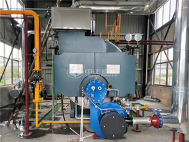 江苏大力神科技4吨WNS型二回程天然气蒸汽锅炉项目