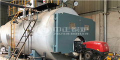 永乐高WNS型冷凝式三回程燃气锅炉 助力浙江千禧龙纤创立新绚烂