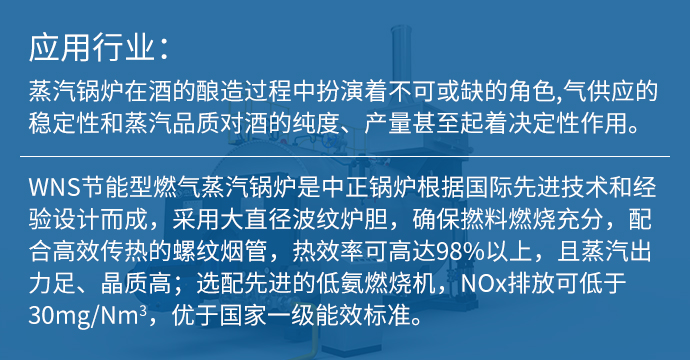 众腾娱乐锅炉