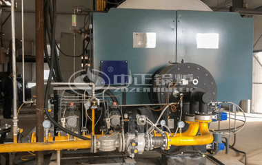 唐山金利海生物柴油5吨WNS系列三回程燃气蒸汽锅炉项目