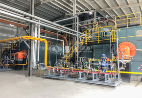 新科奥德科技15吨SZS系列冷凝式燃气蒸汽锅炉项目参数