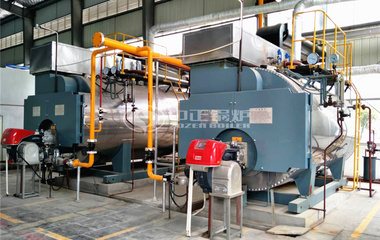 江西禾田新能源科技6吨WNS系列二回程燃气蒸汽锅炉项目