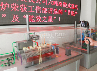 桂林客户直播旅行永乐高锅炉锅炉模子图