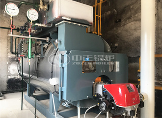 河北科硕化工2吨WNS系列环保型燃气蒸汽锅炉项目