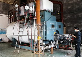 金熙龙食品冰糖生产线6吨WNS系列燃气蒸汽锅炉项目