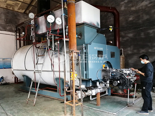 金熙龙食品冰糖生产线6吨WNS系列燃气蒸汽锅炉项目