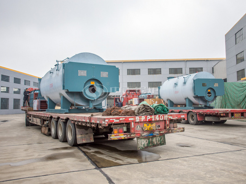 海达舍画阁药业6吨WNS系列燃气蒸汽锅炉项目
