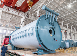 自然气立式导热油锅炉