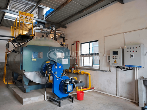 南京常力蜂业2吨WNS系列冷凝式三回程燃气蒸汽锅炉项目