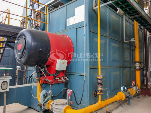 浙江和泓环保纸业20吨SZS系列燃气过热蒸汽锅炉项目