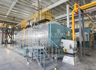 运行于正阳鲁花的WNS系列10吨蒸汽锅炉